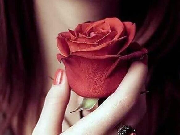 عکس های زیبا برای پروفایل زنانه