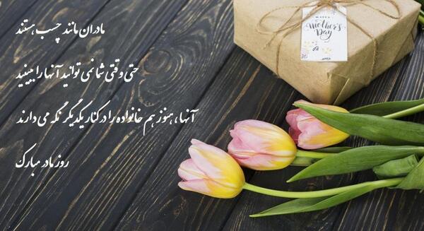 زیباترین عکس نوشته روز زن