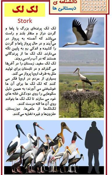 عکس نقاشی لک لک کلاس اول
