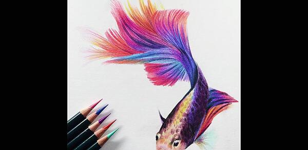 عکس نقاشی ماهی حرفه ای