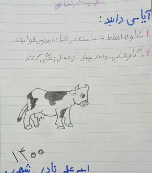عکس نقاشی نعمت های خدا کلاس ششم