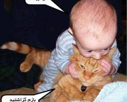 عکسهای خنده دار گربه