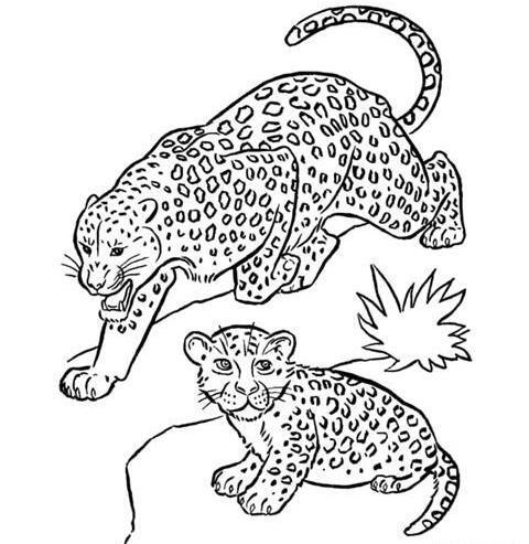 عکس نقاشی یوزپلنگ وحشی