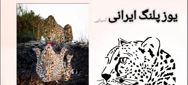 عکس نقاشی یوزپلنگ در حال دویدن