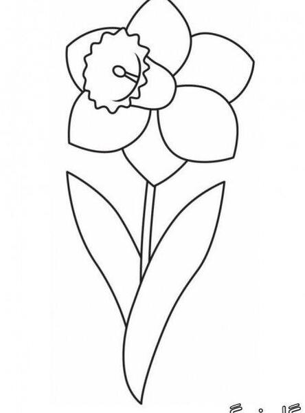 عکس نقاشی ساده گل یاس