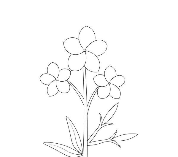 عکس نقاشی ساده گل نرگس