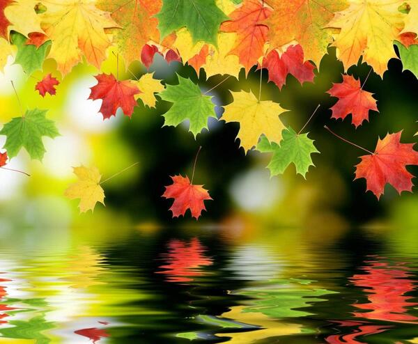 عکس تصویر زمینه گوشی خیلی خوشگل