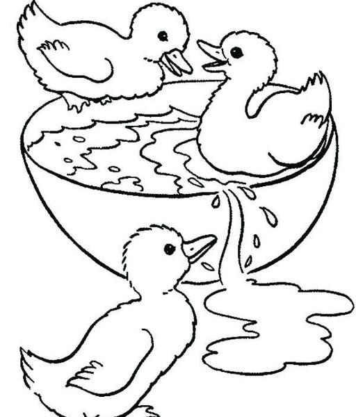 عکس نقاشی ساده اردک کودکانه