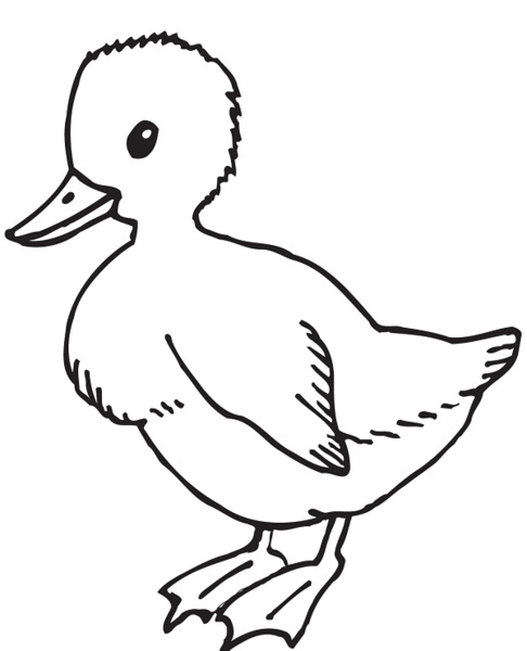 عکس نقاشی ساده اردک کودکانه