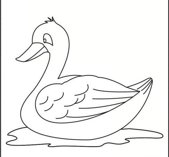 عکس نقاشی اردک ساده و آسان