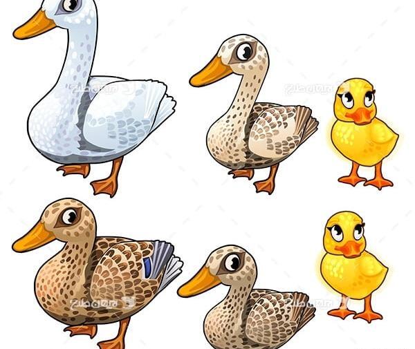 عکس نقاشي ساده اردك