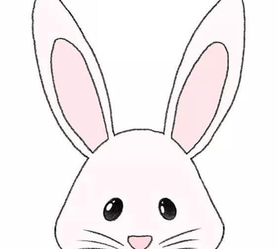 عکس خرگوش برای نقاشی ساده