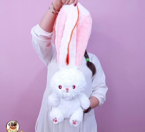 عکس عروسک خرگوش و هویج