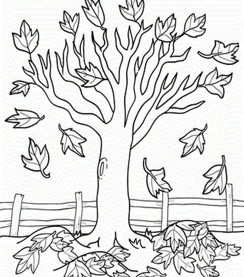عکس نقاشی ساده میوه های فصل پاییز