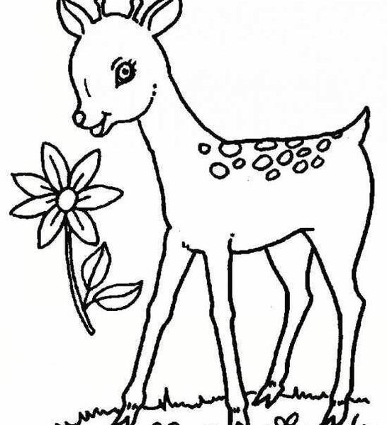 عکس نقاشی ساده آهو کودکانه