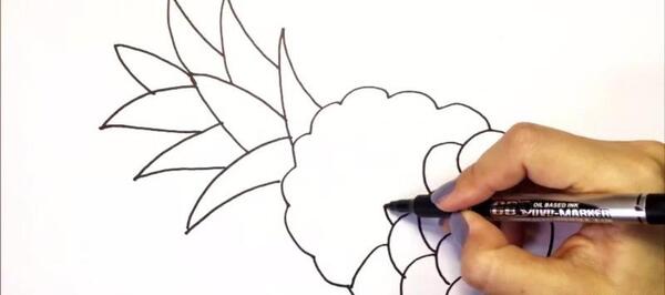 عکس نقاشی ساده از آناناس