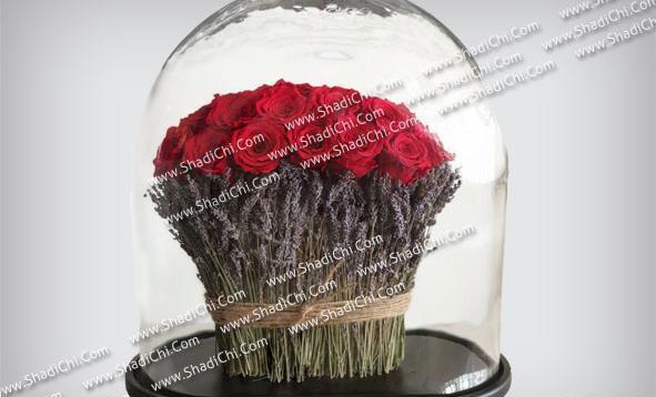 عکس گل طبیعی تو شیشه