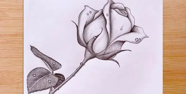 عکس نقاشی ساده با مداد سیاه سه بعدی