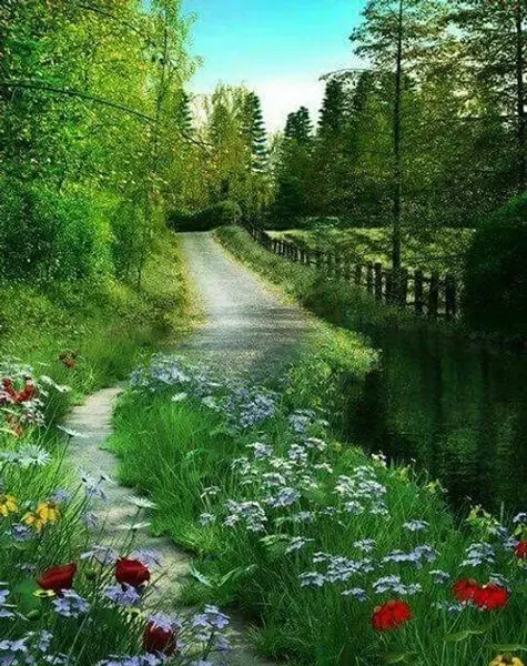 عکس از گل و طبیعت