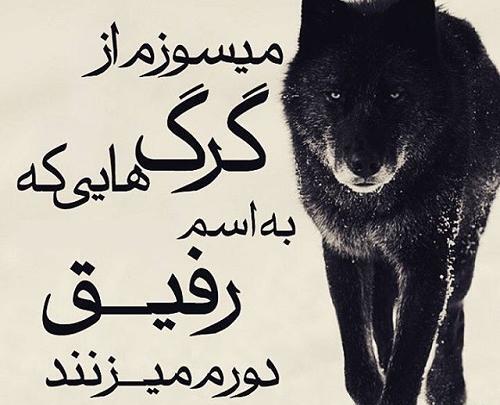 عکس سگ با متن برای پروفایل