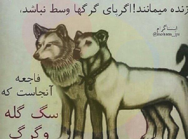 عکس سگ با متن برای پروفایل
