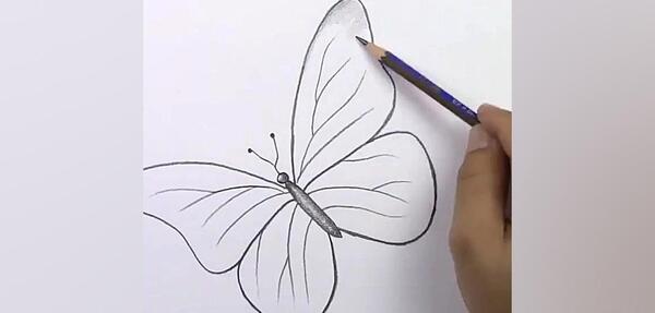 عکس نقاشی ساده پروانه با مداد
