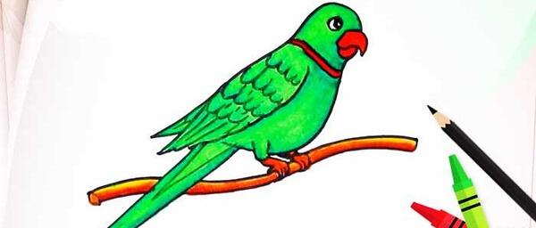 عکس نقاشی ساده پرنده در قفس