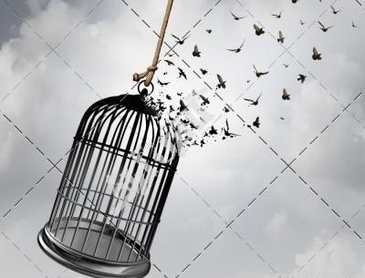 عکس نقاشی ساده پرنده در قفس