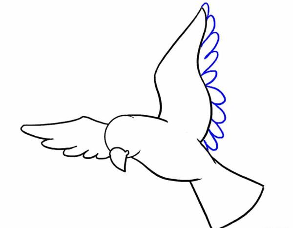 عکس نقاشی ساده پرنده زیبا
