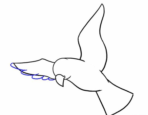 عکس نقاشی ساده پرنده ها