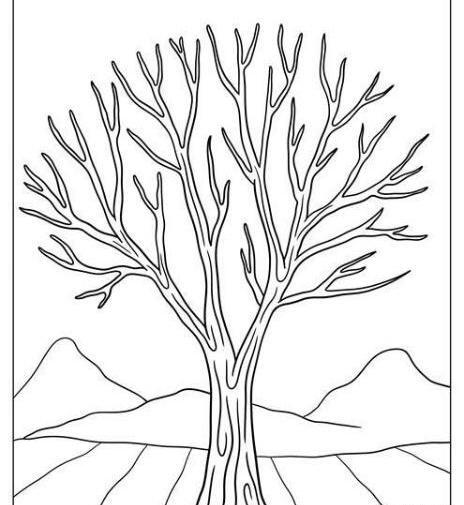 عکس نقاشی ساده تابستانی