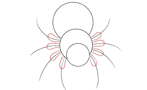 عکس نقاشی عنکبوت ترسناک ساده