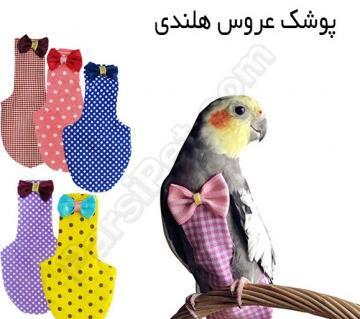 عکس مرغ عشق با لباس