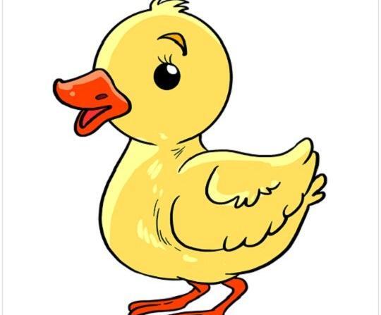عکس نقاشی ساده جوجه اردک زشت