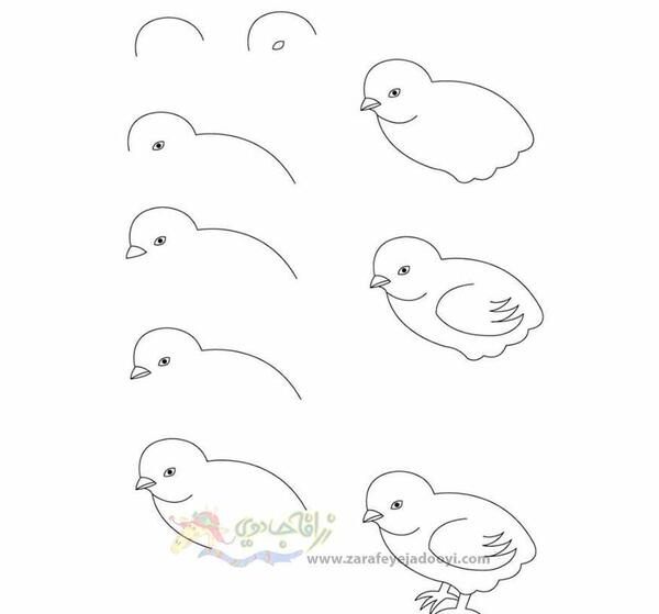 عکس نقاشی ساده جوجه بلدرچین