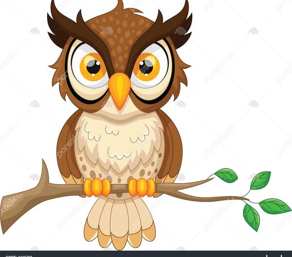 عکس نقاشی ساده جغد روی درخت