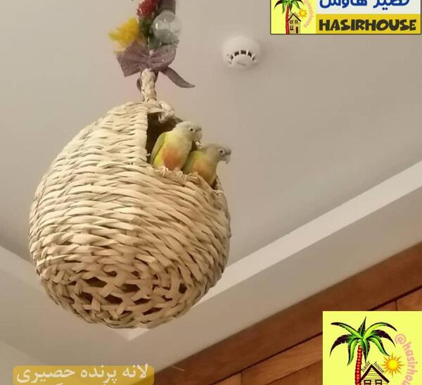 عکس قفس مرغ عشق چوبی