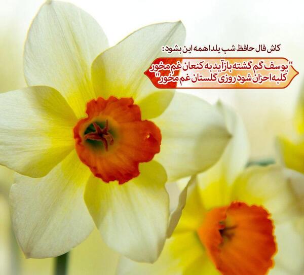 عکس شب یلدا امام زمان