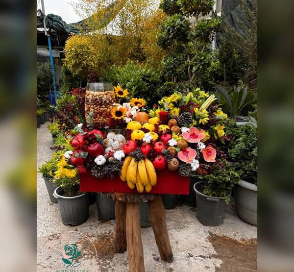 عکس یلدایی تازه عروس