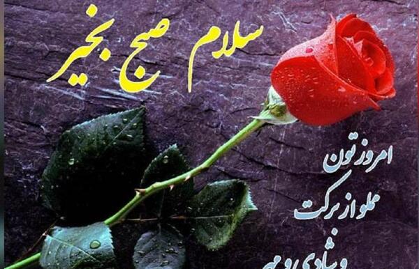 عکس جملات مثبت انگیزشی صبحگاهی