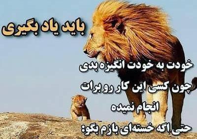 عکس جملات انگیزشی در مورد قدرت ذهن