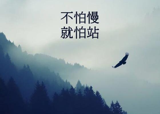 عکس جملات انگیزشی فارسی برای تتو