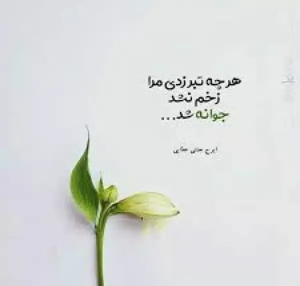 عکس جملات انگیزشی گل و گیاه