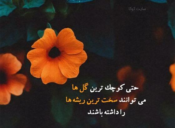 عکس جملات انگیزشی گل و گیاه
