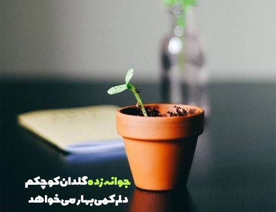 عکس جملات انگیزشی گل و گیاه