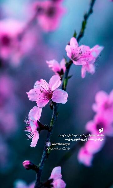 عکس جملات انگیزشی با گل