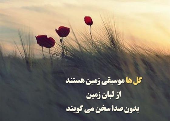 عکس جملات انگیزشی با گل