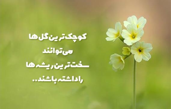 عکس جملات انگیزشی با گل