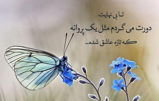 عکس جملات انگیزشی با گل