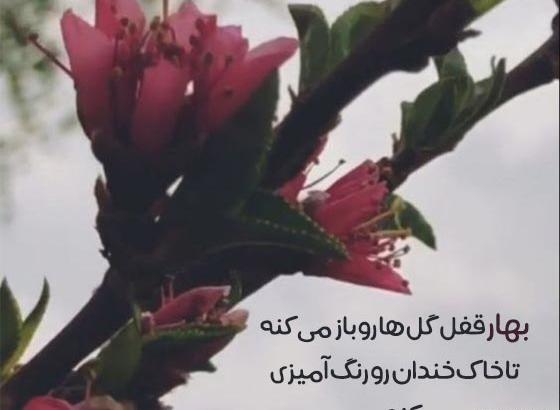 عکس جملات انگیزشی با گل